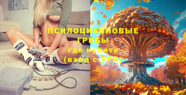 крисы Пересвет