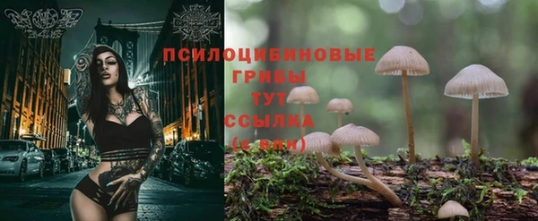 mdma Пестово