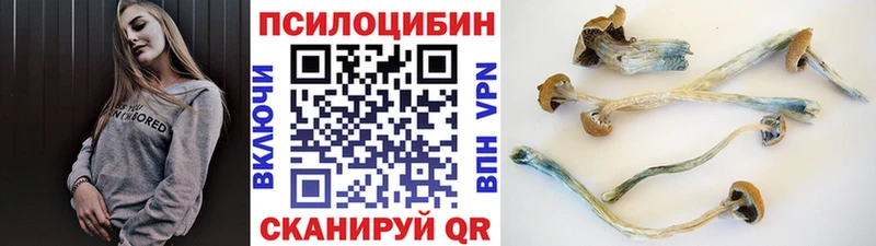 blacksprut ТОР  что такое наркотик  Киренск  Псилоцибиновые грибы Magic Shrooms 