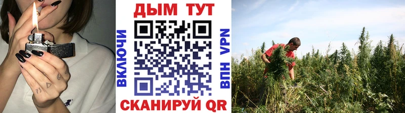 где продают наркотики  Киренск  Шишки марихуана конопля 